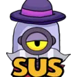 SUS