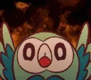 RowletChaos