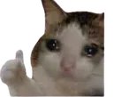 sadok