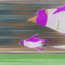 pinkpenguins Discord emoji