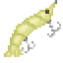shrimp