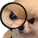 AngryDoggoDetective