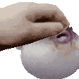 pufferpat
