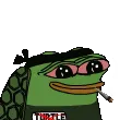 peepoTurtleBNB