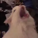 a_a