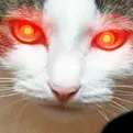 angery angery