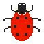 ladybug