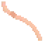 worm