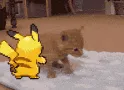pika_push