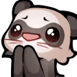 FerretPlease