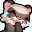 FerretLaugh FerretLaugh