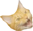 angrycatsatan Discord Emoji