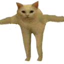 EN_DominantCat Discord emoji