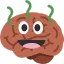 cz_shit_brain