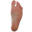 StanleyFeet