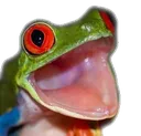 Kek_Frog