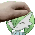 MG_PetGardevoir MG_PetGardevoir