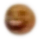 obnoxiouscitrus