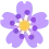 purpleflower