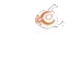 scammerdance scammerdance