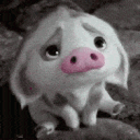 Pout