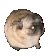 dogJAM dogJAM