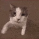 aTMA_kisskittyowo
