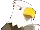 apollosip