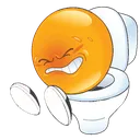 angrytoilet
