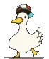danceDuckFluff