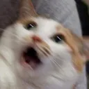 emoji_3