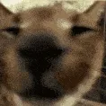 SCfloppasniff SCfloppasniff