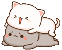 Cats_annoy