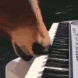 SCpianohorse SCpianohorse