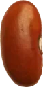 bean6