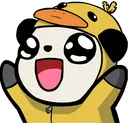 roo_duck