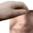 pvlpat