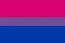 bi_flag