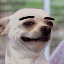 dog Discord emoji