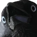 OhNo
