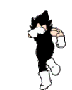 GokuDance