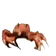 crabrave crabrave
