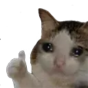 CatSadLike Discord Emoji