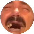KEKLspin KEKLspin