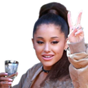 arianapeace Discord emoji