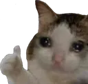 K_Sado1