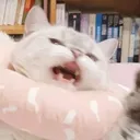 emoji_1