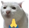 BilluNamaste