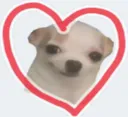 uwur