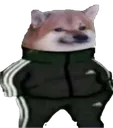 DogeTripoloski